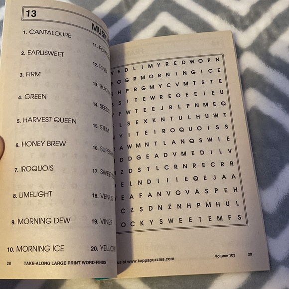 Set of 3 Large Print Word Finds - Picture 4 of 10